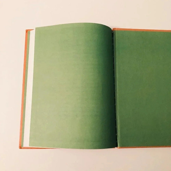 Vtg 1980  Willy's Raiders by Jack Gantos Parents Magazine Press - Picture 14 of 16